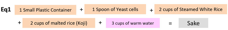 Sake equation